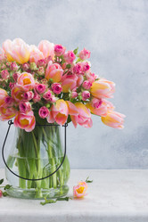 Similar image 13216396