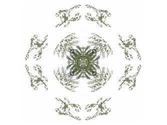 Similar image 13204226