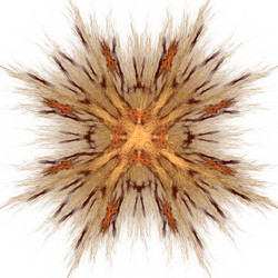 Similar image 13204230