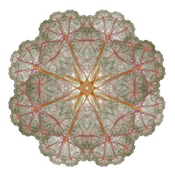 Similar image 13204232