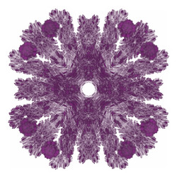 Similar image 13204258