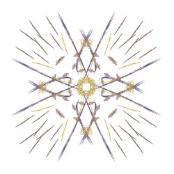 Similar image 13204713