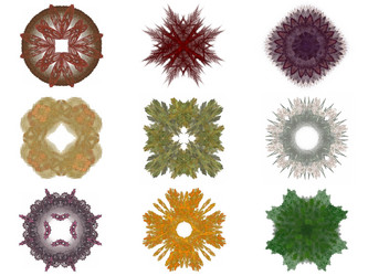 Similar image 13204698