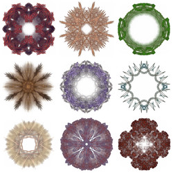 Similar image 13204707