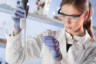 Similar image 13215509