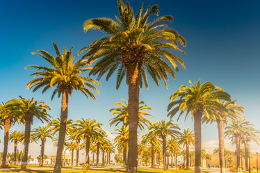 Similar image 13196959