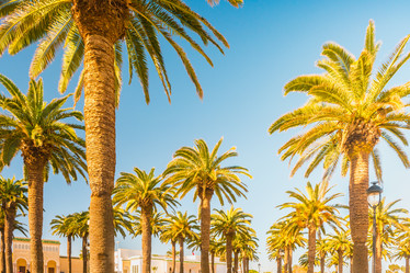 Similar image 13197139