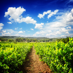 Similar image 13216599