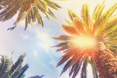 Similar image 13215750