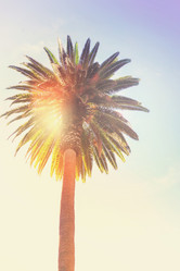 Similar image 13215844