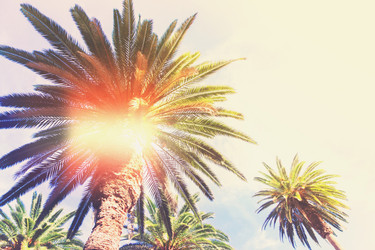 Similar image 13215865