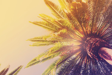 Similar image 13215964