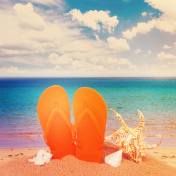 Similar image 13216083