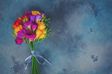 Similar image 13216260