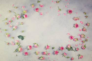 Similar image 13216286