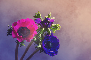 Similar image 13216884