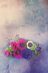 Similar image 13217140