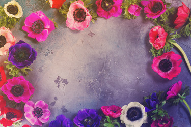 Similar image 13216900