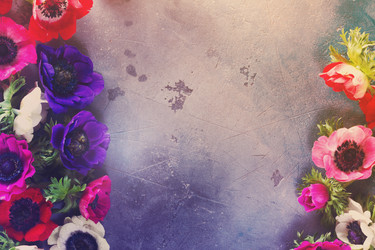 Similar image 13216901