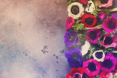 Similar image 13216902