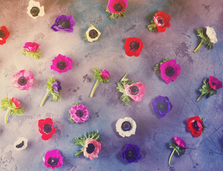 Similar image 13216903