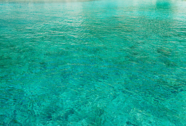 Similar image 13215646