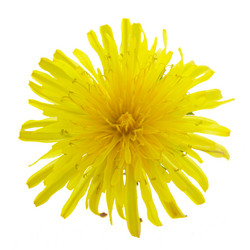 Similar image 13215951