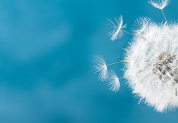 Similar image 13216144