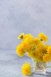 Similar image 13216360