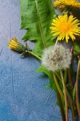 Similar image 13216497