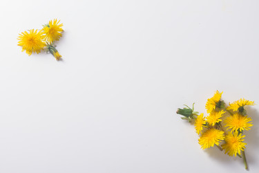 Similar image 13216498