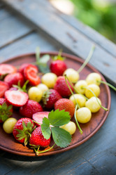 Similar image 13209669