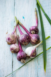 Similar image 13209674