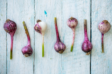 Similar image 13209676