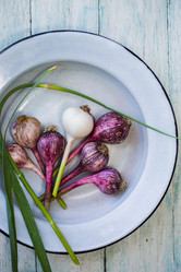 Similar image 13209678