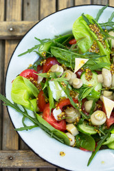 Similar image 13209756