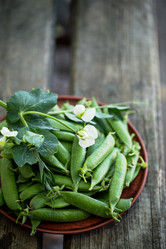 Similar image 13209758