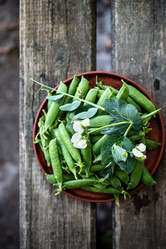 Similar image 13209759