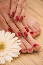 Similar image 13239077