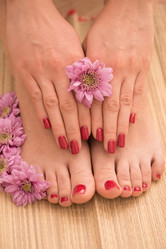 Similar image 13238886