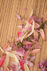 Similar image 13240042