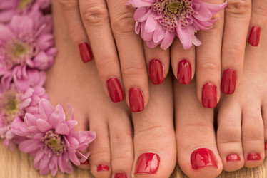 Similar image 13237123