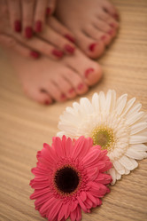 Similar image 13237953