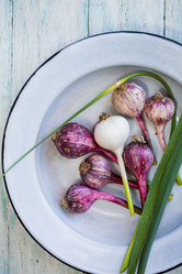 Similar image 13209802