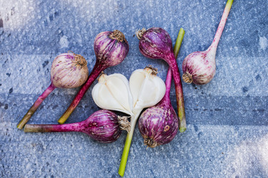 Similar image 13209806