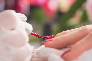 Similar image 13238760