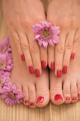 Similar image 13239736