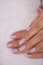 Similar image 13237677