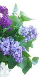 Similar image 13216205