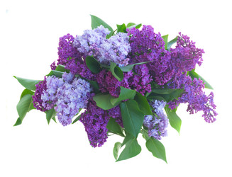 Similar image 13216227